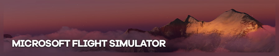 Microsoft Flight Simulator